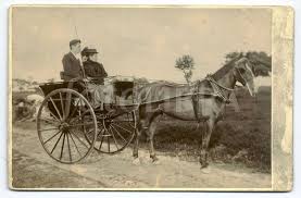 a Victorian dog cart