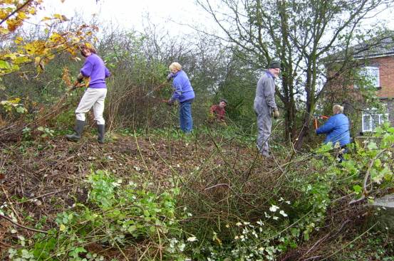 site being cleared